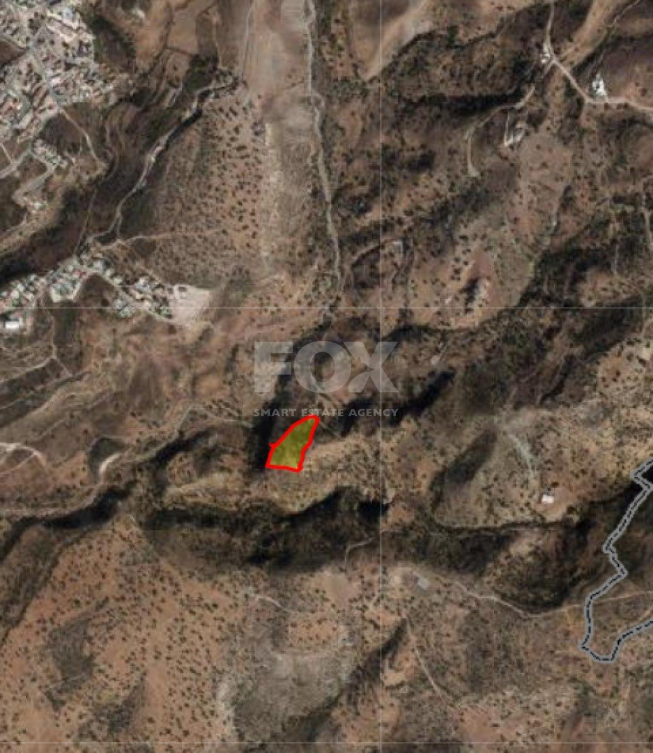 Land For Sale In Pegeia Paphos Cyprus