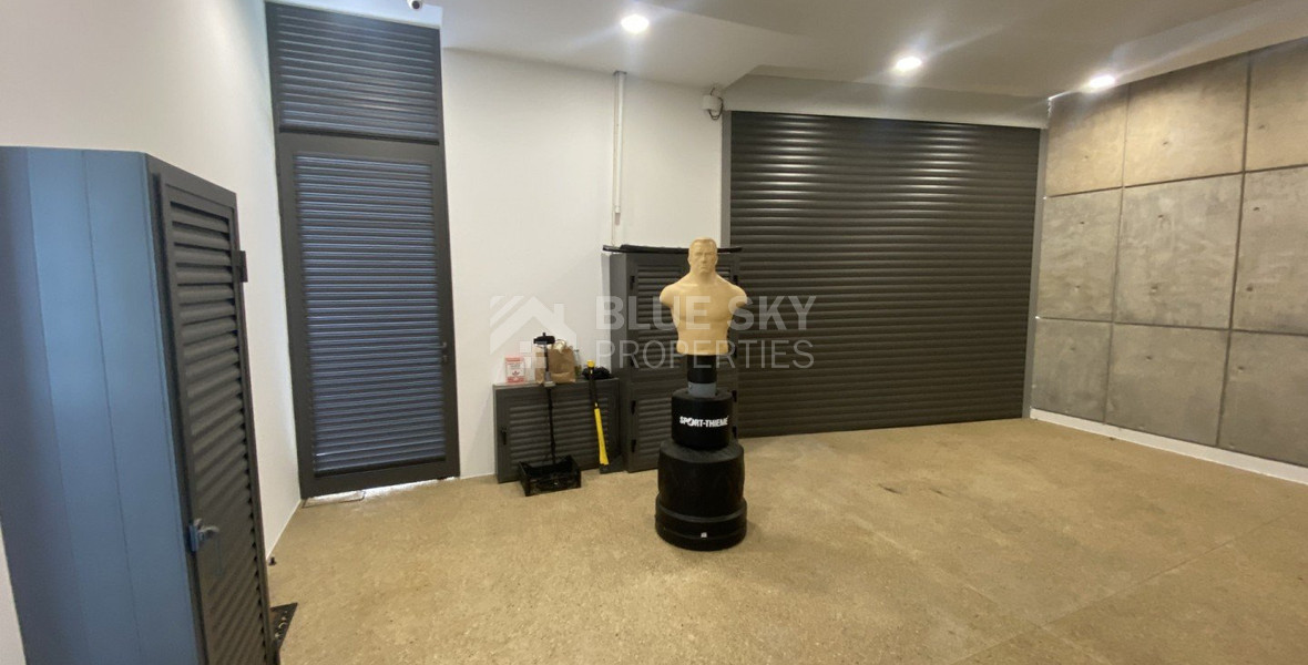 3 Bed House For Sale In Trachoni Lemesou Limassol Cyprus