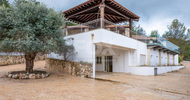 Luxury three Bedroom Villa with Swimming Pool for Sale in Neo Chorio