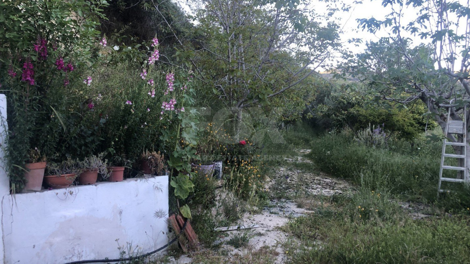 3 Bed House For Sale In Vouni Limassol Cyprus