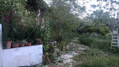 3 Bed House For Sale In Vouni Limassol Cyprus