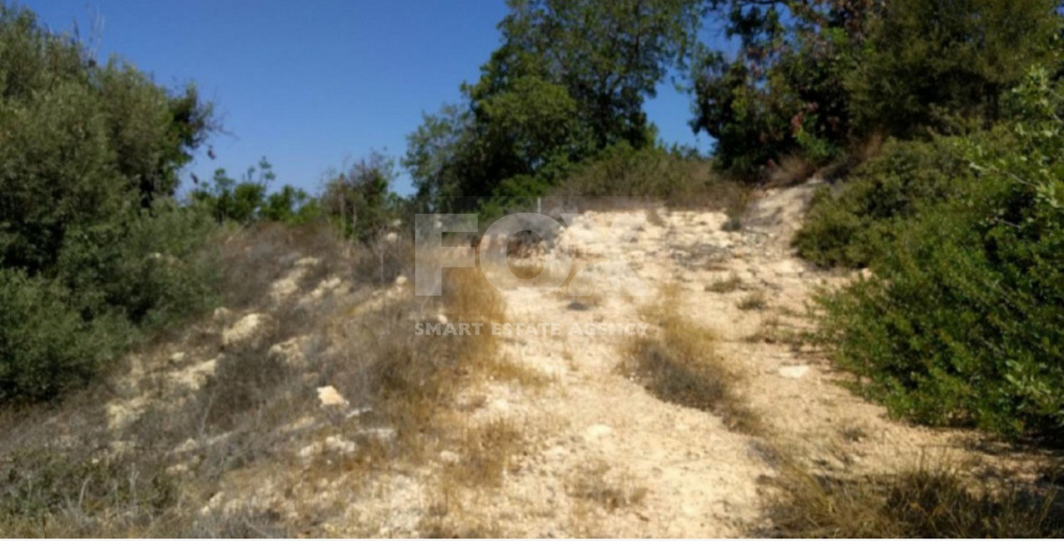 Land For Sale In Tala Paphos Cyprus