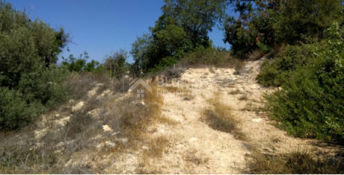 Land For Sale In Tala Paphos Cyprus