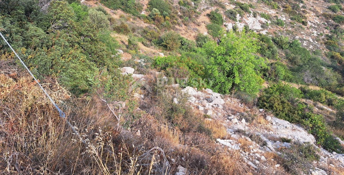 Plot For Sale In Tala Paphos Cyprus