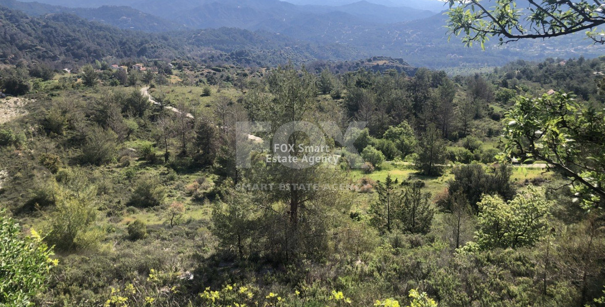 Land For Sale In Pera Pedi Limassol Cyprus