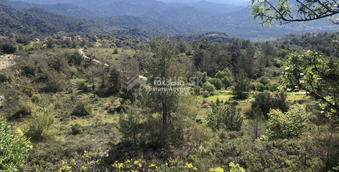 Land For Sale In Pera Pedi Limassol Cyprus