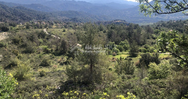 Land For Sale In Pera Pedi Limassol Cyprus