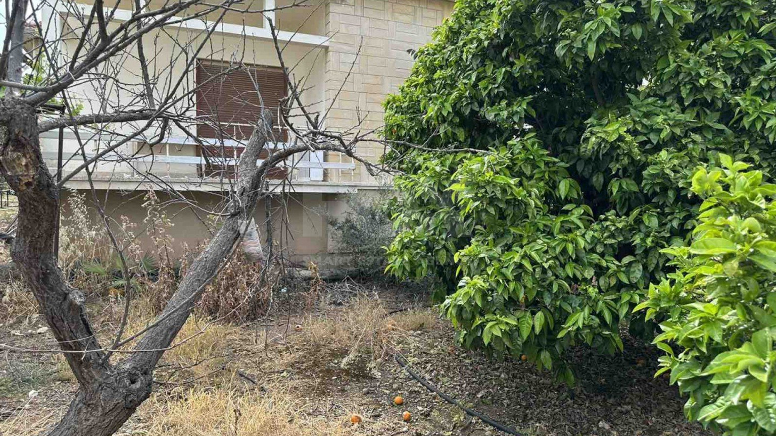 Plot For Sale In Agios Theodoros Paphos Cyprus