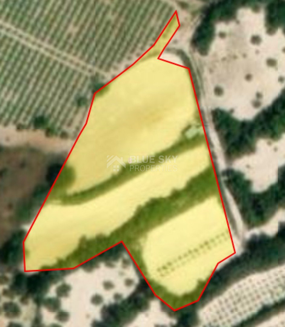 Land For Sale In Koili Paphos Cyprus