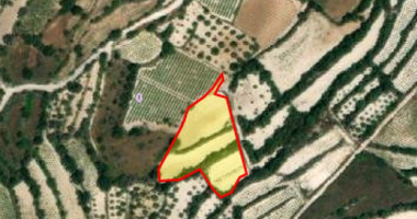Land For Sale In Koili Paphos Cyprus