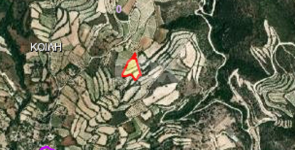 Land For Sale In Koili Paphos Cyprus
