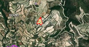 Land For Sale In Koili Paphos Cyprus