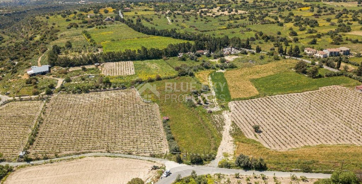Land For Sale In Anogyra Limassol Cyprus
