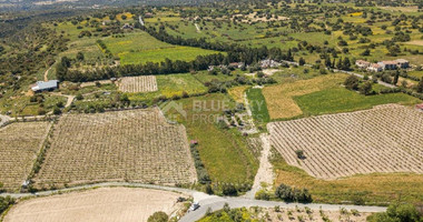 Land For Sale In Anogyra Limassol Cyprus