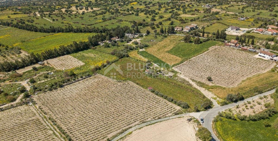 Land For Sale In Anogyra Limassol Cyprus