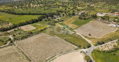 Land For Sale In Anogyra Limassol Cyprus