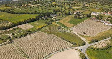 Land For Sale In Anogyra Limassol Cyprus