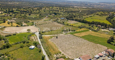 Land For Sale In Anogyra Limassol Cyprus