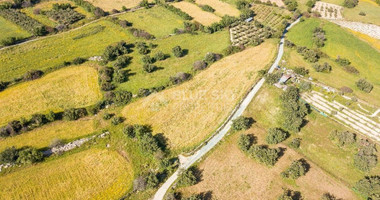 Land For Sale In Anogyra Limassol Cyprus