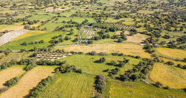 Land For Sale In Anogyra Limassol Cyprus