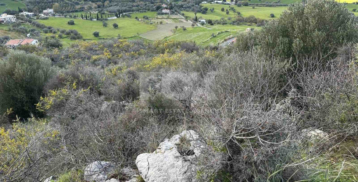 Land For Sale In Steni Paphos Cyprus