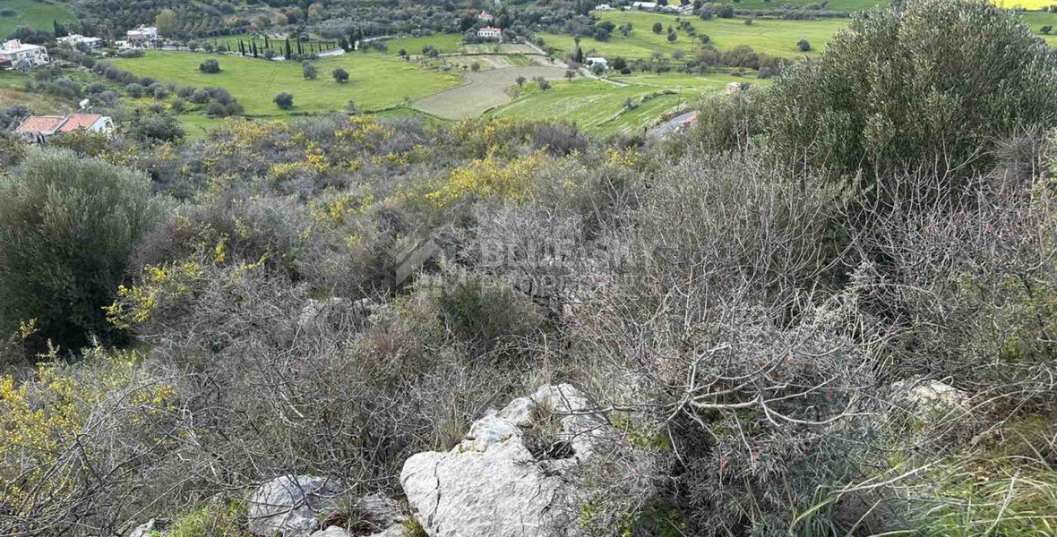 Land For Sale In Steni Paphos Cyprus