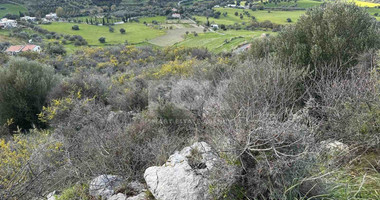 Land For Sale In Steni Paphos Cyprus