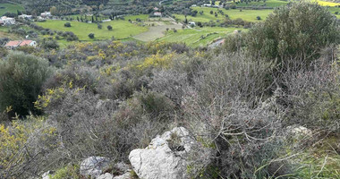 Land For Sale In Steni Paphos Cyprus