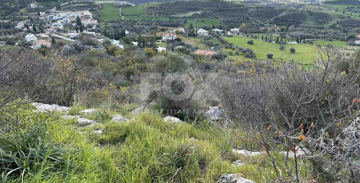 Land For Sale In Steni Paphos Cyprus