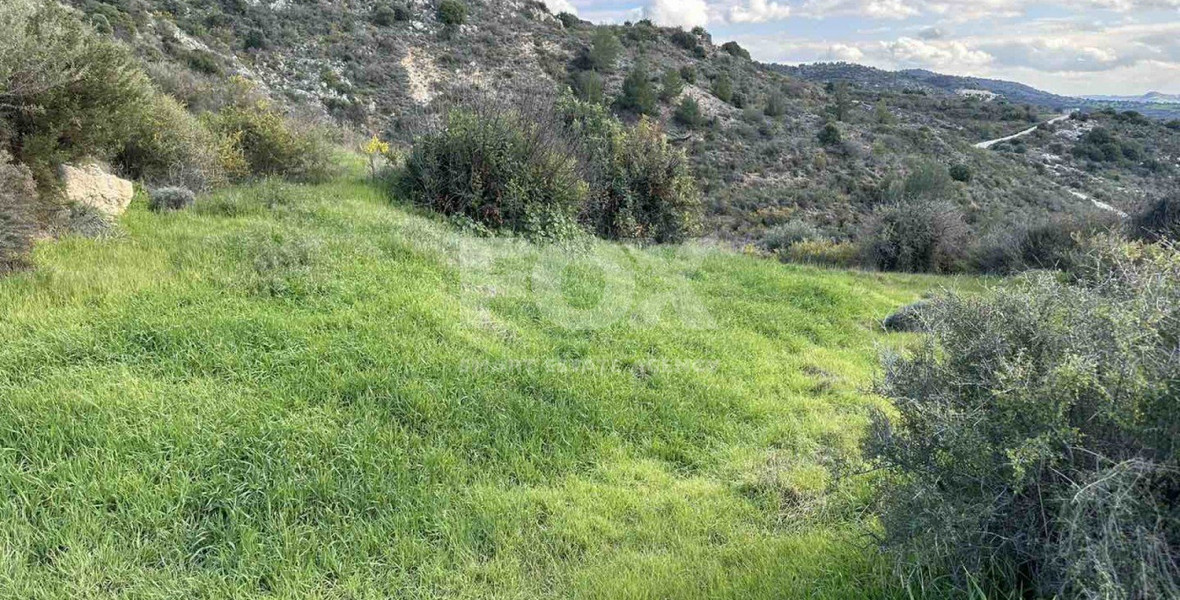 Land For Sale In Steni Paphos Cyprus