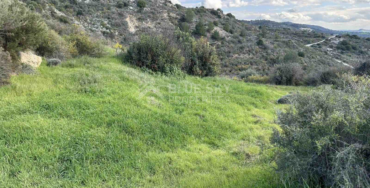 Land For Sale In Steni Paphos Cyprus