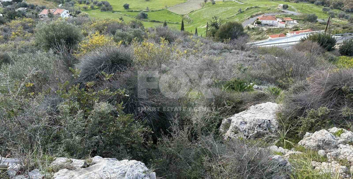 Land For Sale In Steni Paphos Cyprus