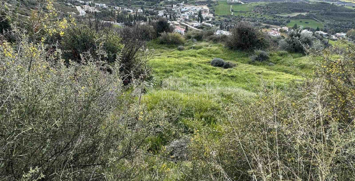 Land For Sale In Steni Paphos Cyprus