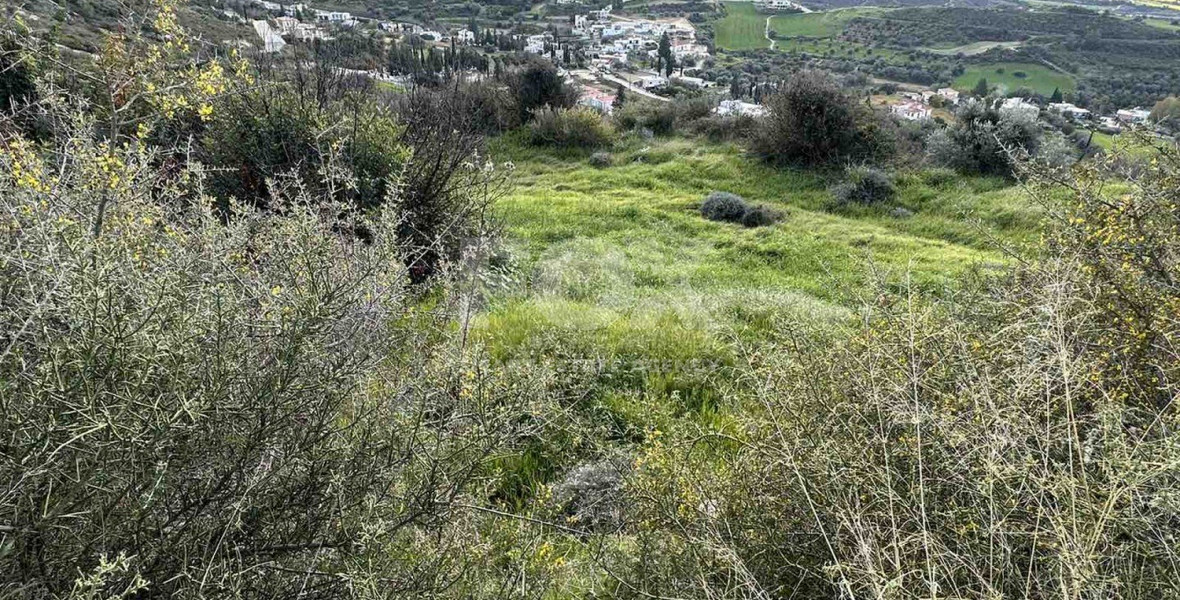 Land For Sale In Steni Paphos Cyprus