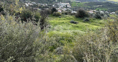 Land For Sale In Steni Paphos Cyprus