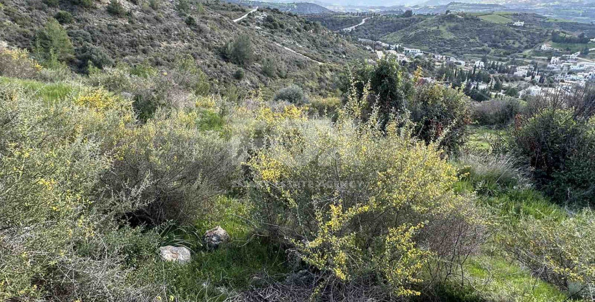 Land For Sale In Steni Paphos Cyprus