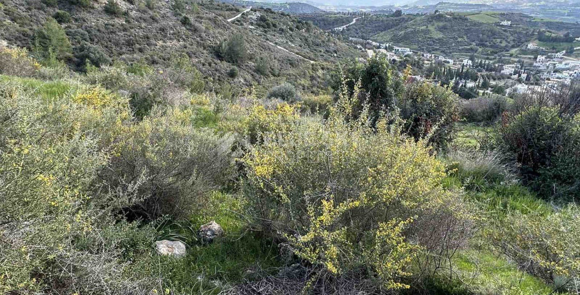 Land For Sale In Steni Paphos Cyprus