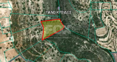 Land For Sale In Pano Kivides Limassol Cyprus