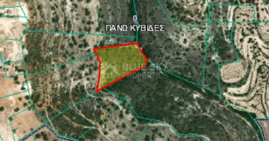 Land For Sale In Pano Kivides Limassol Cyprus