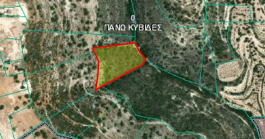Land For Sale In Pano Kivides Limassol Cyprus