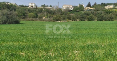 Plot For Sale In Theletra Paphos Cyprus