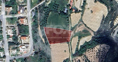 Plot For Sale In Theletra Paphos Cyprus