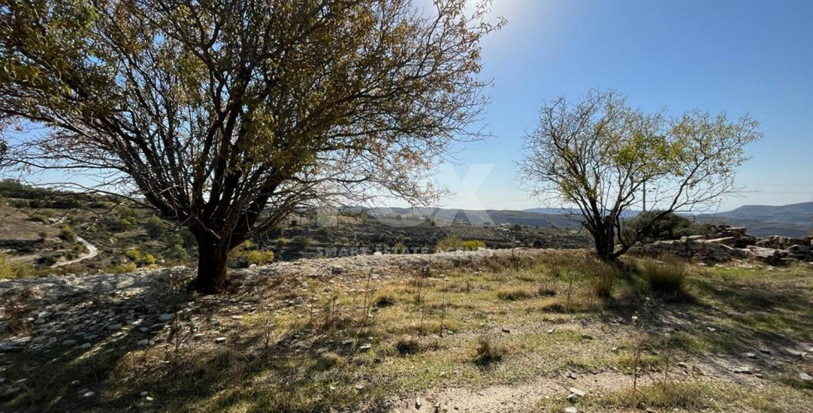 Land For Sale In Vasa Koilaniou Limassol Cyprus