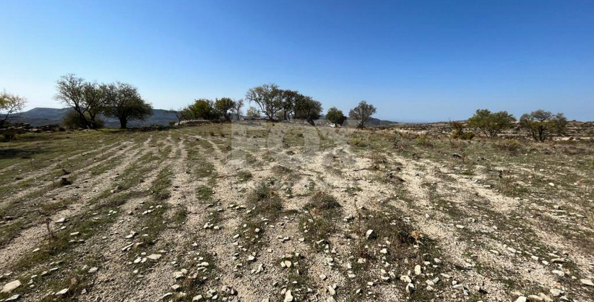 Land For Sale In Vasa Koilaniou Limassol Cyprus