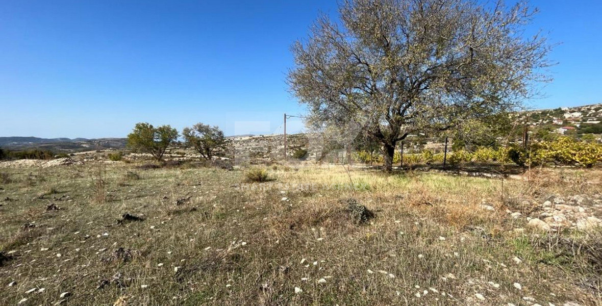 Land For Sale In Vasa Koilaniou Limassol Cyprus