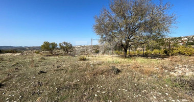 Land For Sale In Vasa Koilaniou Limassol Cyprus