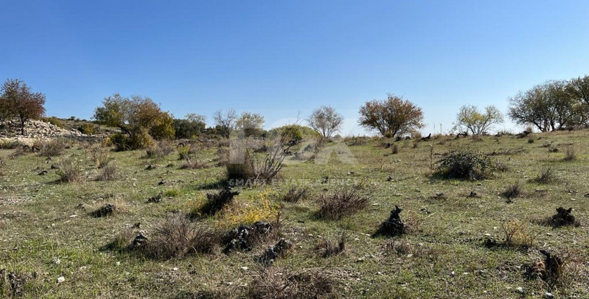 Land For Sale In Vasa Koilaniou Limassol Cyprus