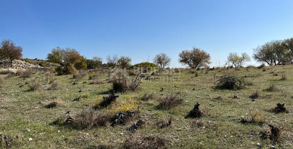 Land For Sale In Vasa Koilaniou Limassol Cyprus