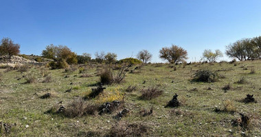 Land For Sale In Vasa Koilaniou Limassol Cyprus