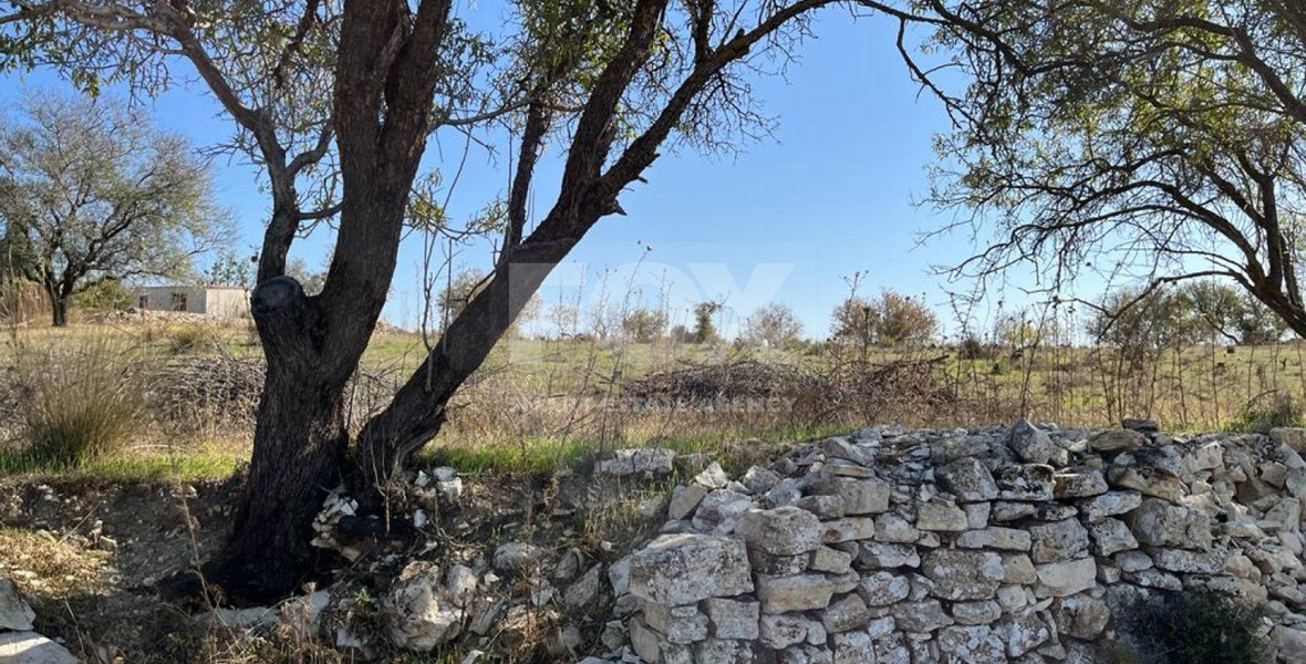 Land For Sale In Vasa Koilaniou Limassol Cyprus